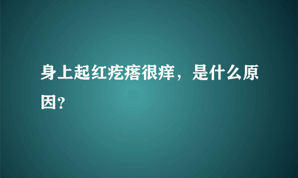 身上起红疙瘩很痒，是什么原因？