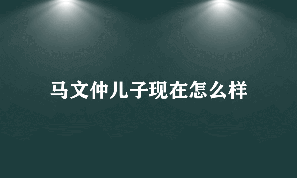 马文仲儿子现在怎么样