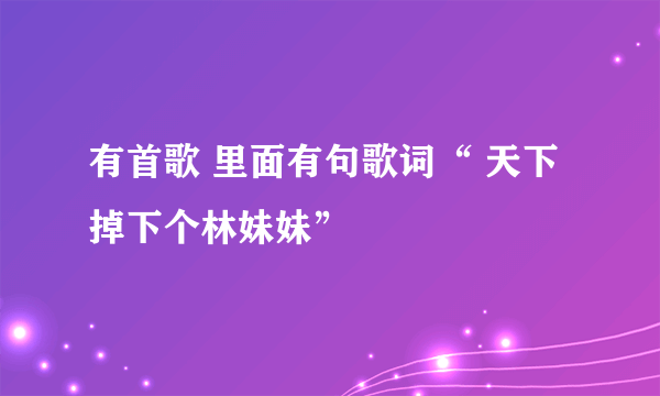 有首歌 里面有句歌词“ 天下掉下个林妹妹”