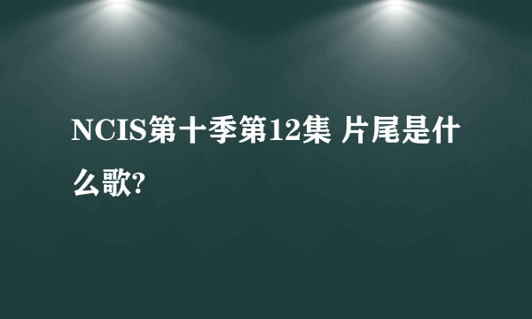 NCIS第十季第12集 片尾是什么歌?