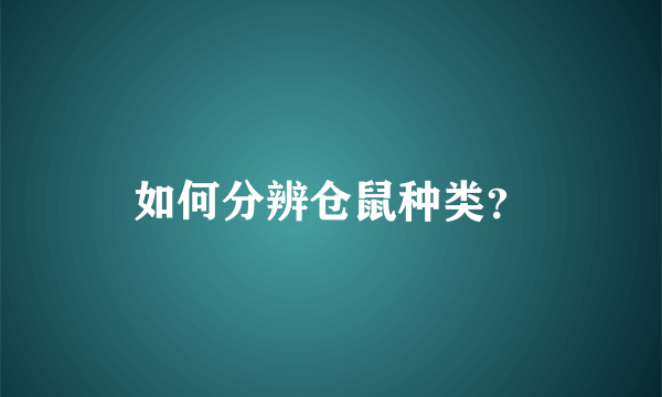 如何分辨仓鼠种类？