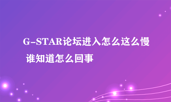 G-STAR论坛进入怎么这么慢 谁知道怎么回事