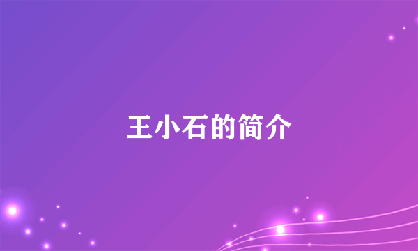 王小石的简介