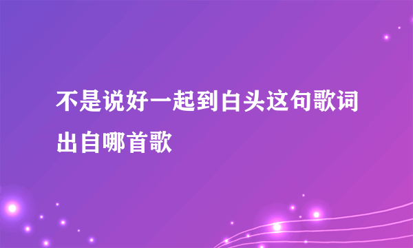 不是说好一起到白头这句歌词出自哪首歌