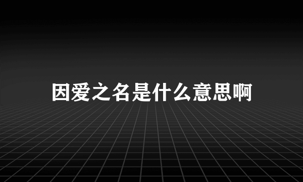 因爱之名是什么意思啊