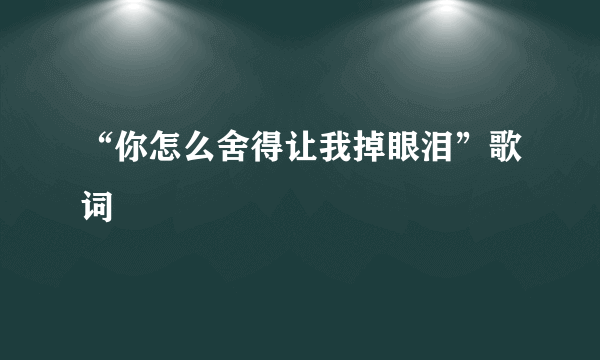 “你怎么舍得让我掉眼泪”歌词