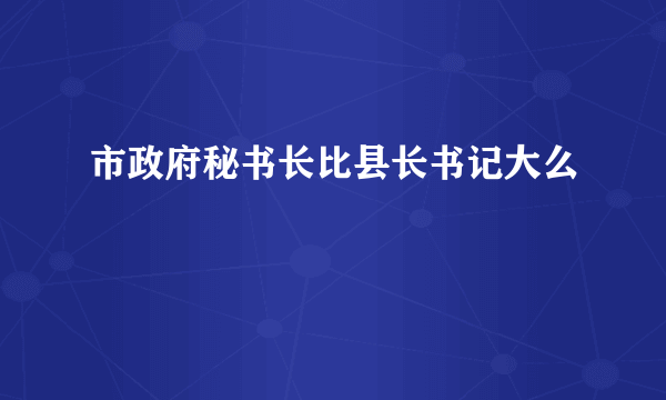 市政府秘书长比县长书记大么