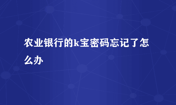 农业银行的k宝密码忘记了怎么办