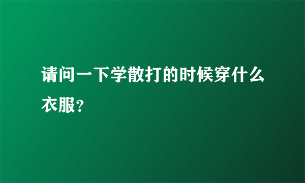 请问一下学散打的时候穿什么衣服？