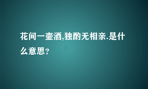 花间一壶酒,独酌无相亲.是什么意思？