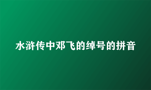 水浒传中邓飞的绰号的拼音