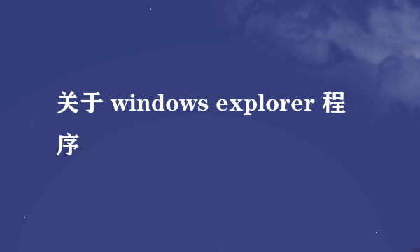 关于 windows explorer 程序