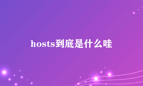 hosts到底是什么哇