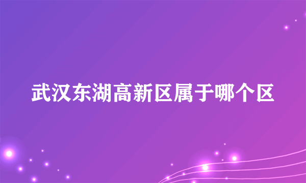 武汉东湖高新区属于哪个区