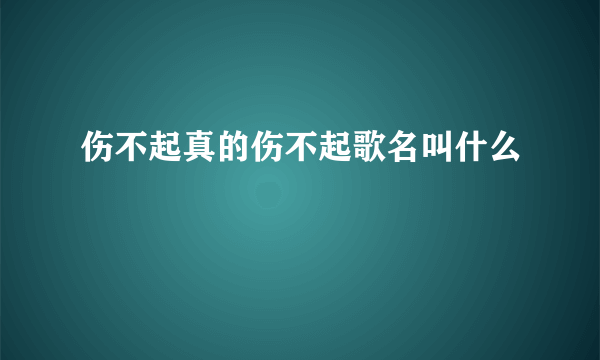 伤不起真的伤不起歌名叫什么