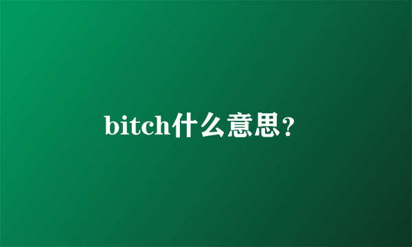 bitch什么意思？