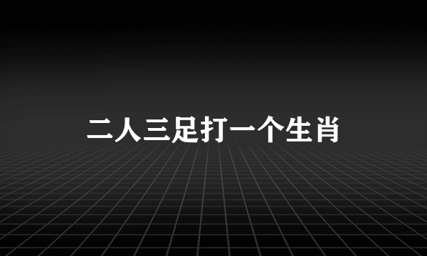 二人三足打一个生肖