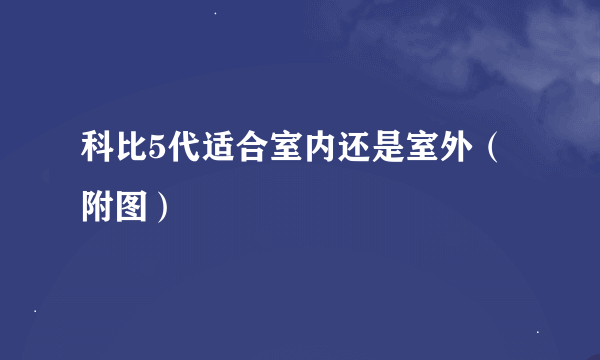 科比5代适合室内还是室外（附图）