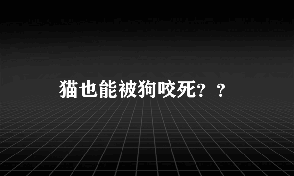 猫也能被狗咬死？？