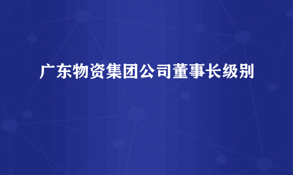 广东物资集团公司董事长级别