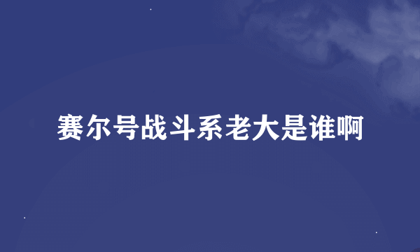 赛尔号战斗系老大是谁啊