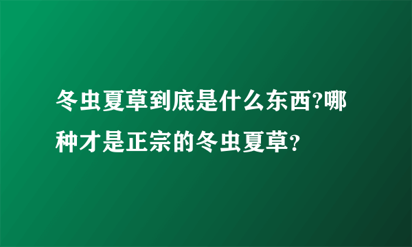 冬虫夏草到底是什么东西?哪种才是正宗的冬虫夏草？