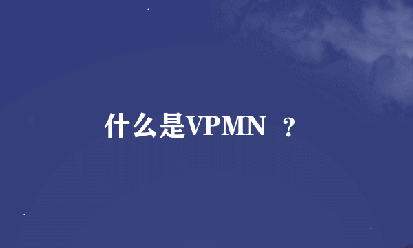 什么是VPMN  ？