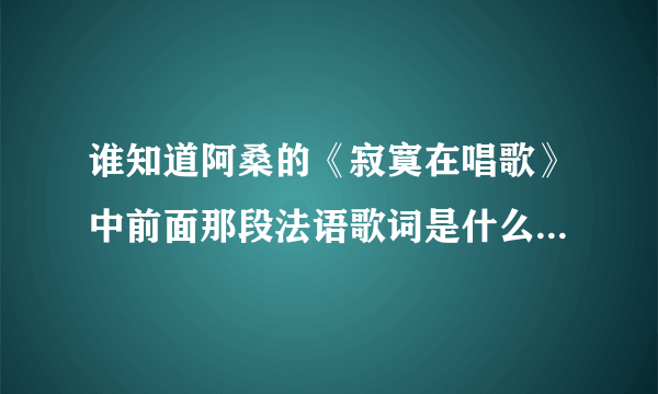 谁知道阿桑的《寂寞在唱歌》中前面那段法语歌词是什么？谢谢！！