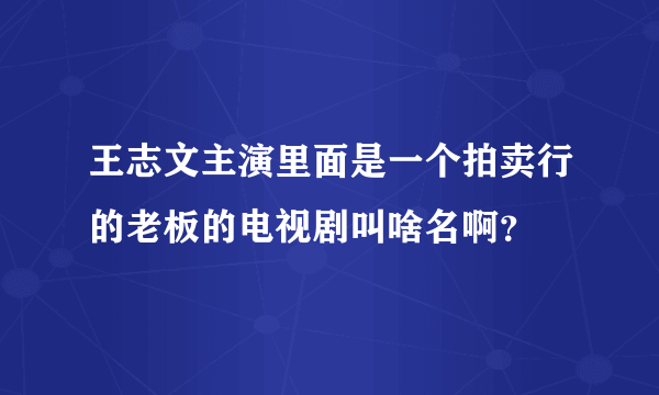 王志文主演里面是一个拍卖行的老板的电视剧叫啥名啊？