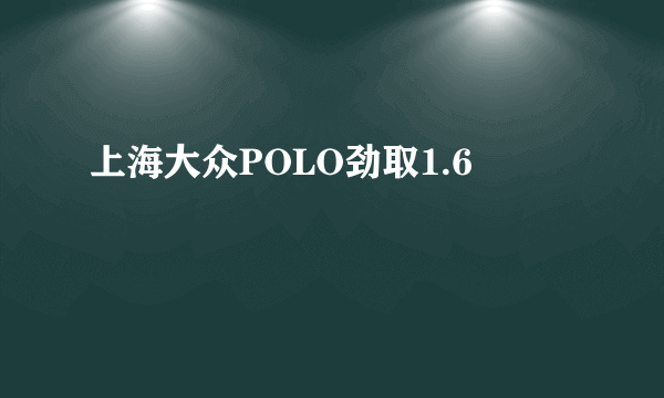 上海大众POLO劲取1.6