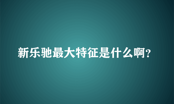 新乐驰最大特征是什么啊？