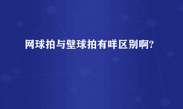 网球拍与壁球拍有咩区别啊?