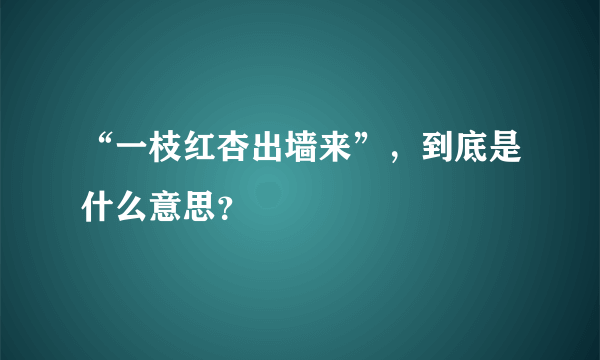 “一枝红杏出墙来”，到底是什么意思？