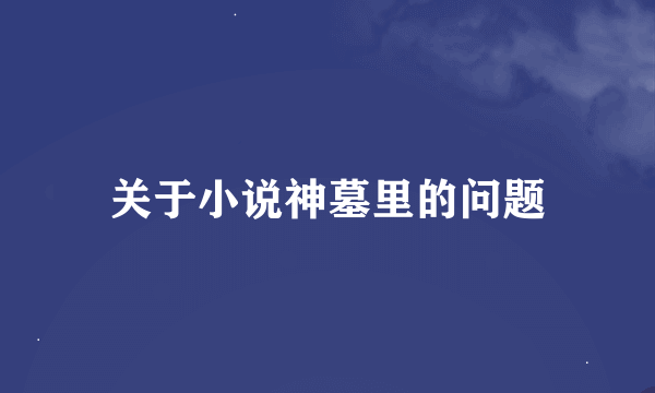 关于小说神墓里的问题