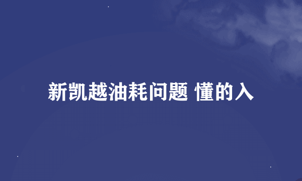 新凯越油耗问题 懂的入