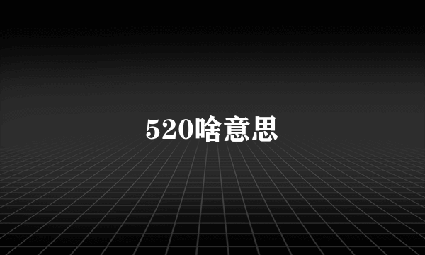 520啥意思