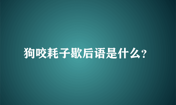 狗咬耗子歇后语是什么？