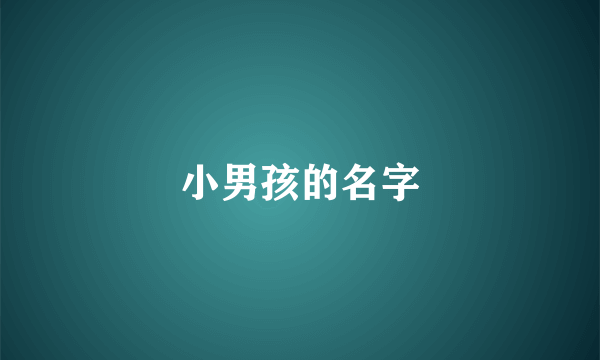 小男孩的名字