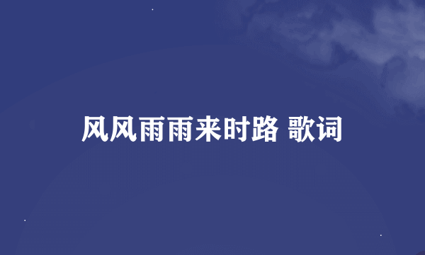 风风雨雨来时路 歌词