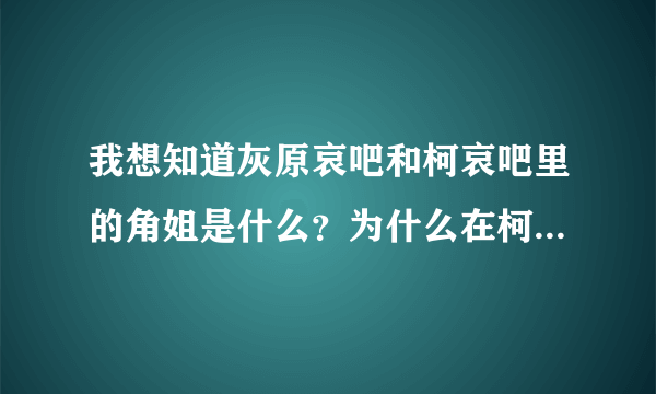 我想知道灰原哀吧和柯哀吧里的角姐是什么？为什么在柯南吧和毛利兰吧里没有看到过？？ 求解释~~~