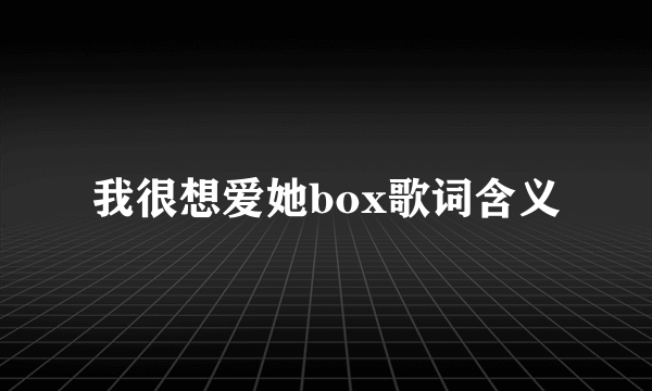 我很想爱她box歌词含义