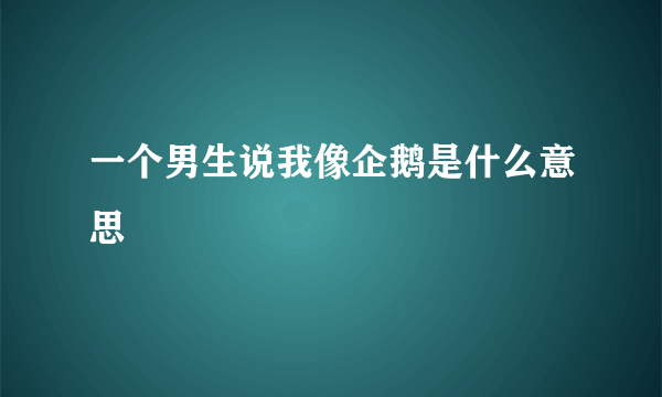 一个男生说我像企鹅是什么意思