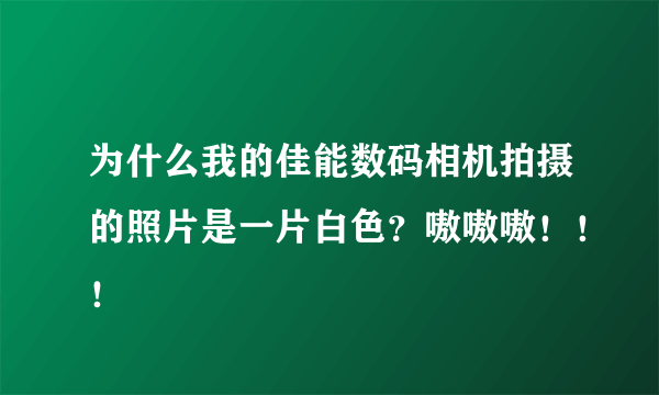 为什么我的佳能数码相机拍摄的照片是一片白色？嗷嗷嗷！！！