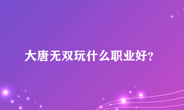 大唐无双玩什么职业好？