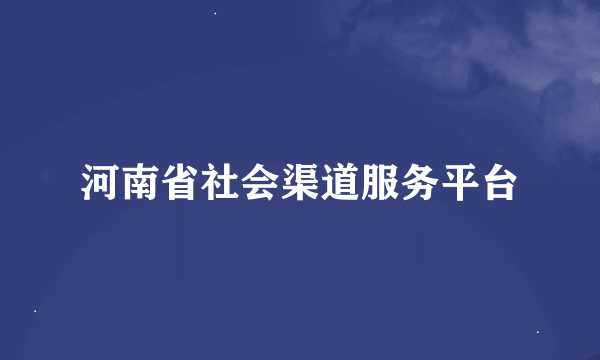 河南省社会渠道服务平台