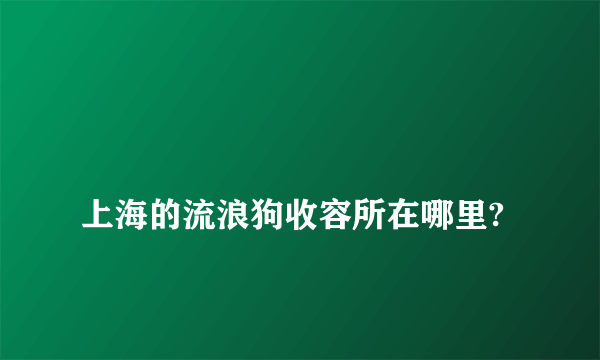 
上海的流浪狗收容所在哪里?
