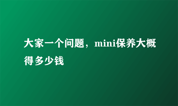 大家一个问题，mini保养大概得多少钱