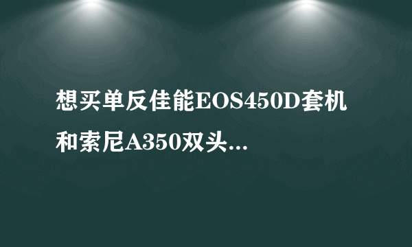 想买单反佳能EOS450D套机 和索尼A350双头套机 哪个好？