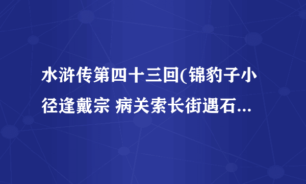 水浒传第四十三回(锦豹子小径逢戴宗 病关索长街遇石秀）现代文版