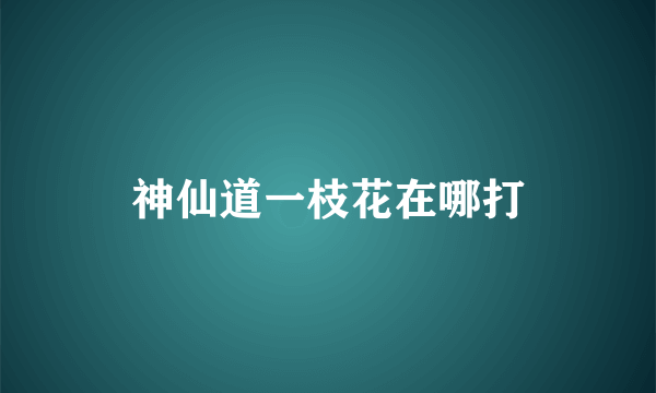 神仙道一枝花在哪打